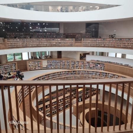 Visita a la Bibioteca nueva de Jerusalem