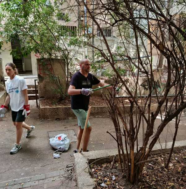 imagen de galería