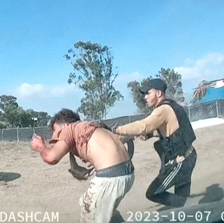 Imagen del artículo