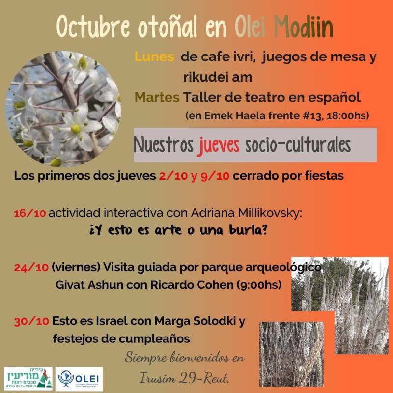 Actividades Modiin